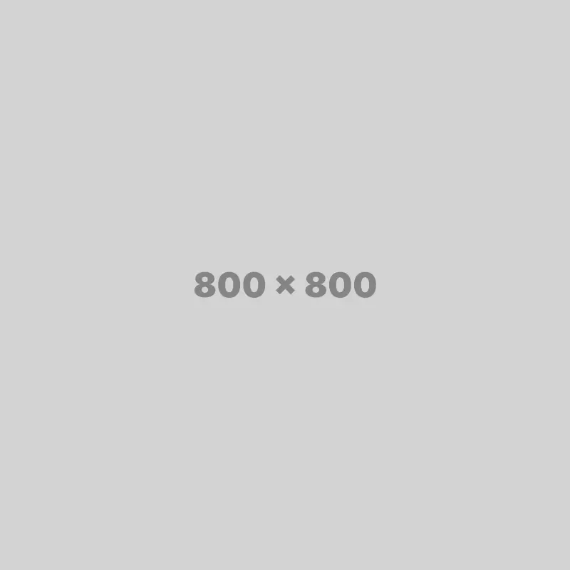 800 x 800